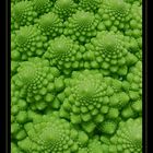 Romanesco