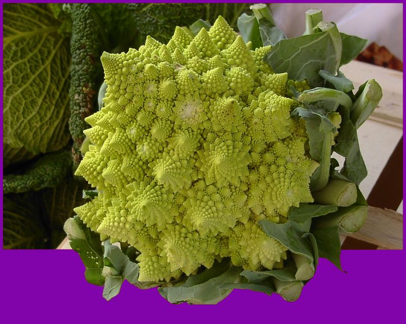 Romanesco