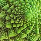 Romanesco