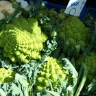 Romanesco