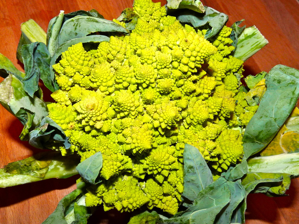 Romanesco am Abend