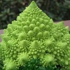 Romanesco