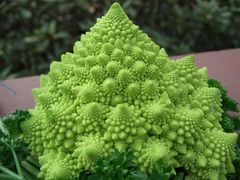 Romanesco