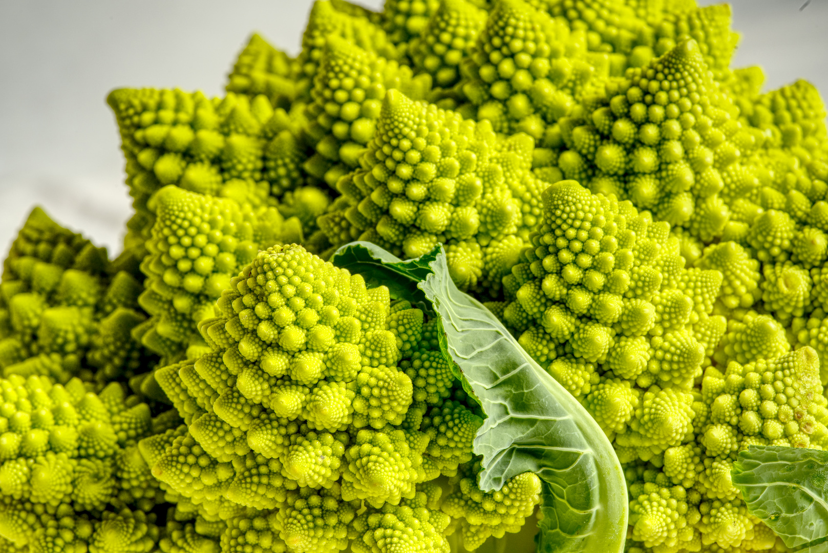 Romanesco