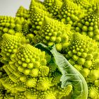 Romanesco