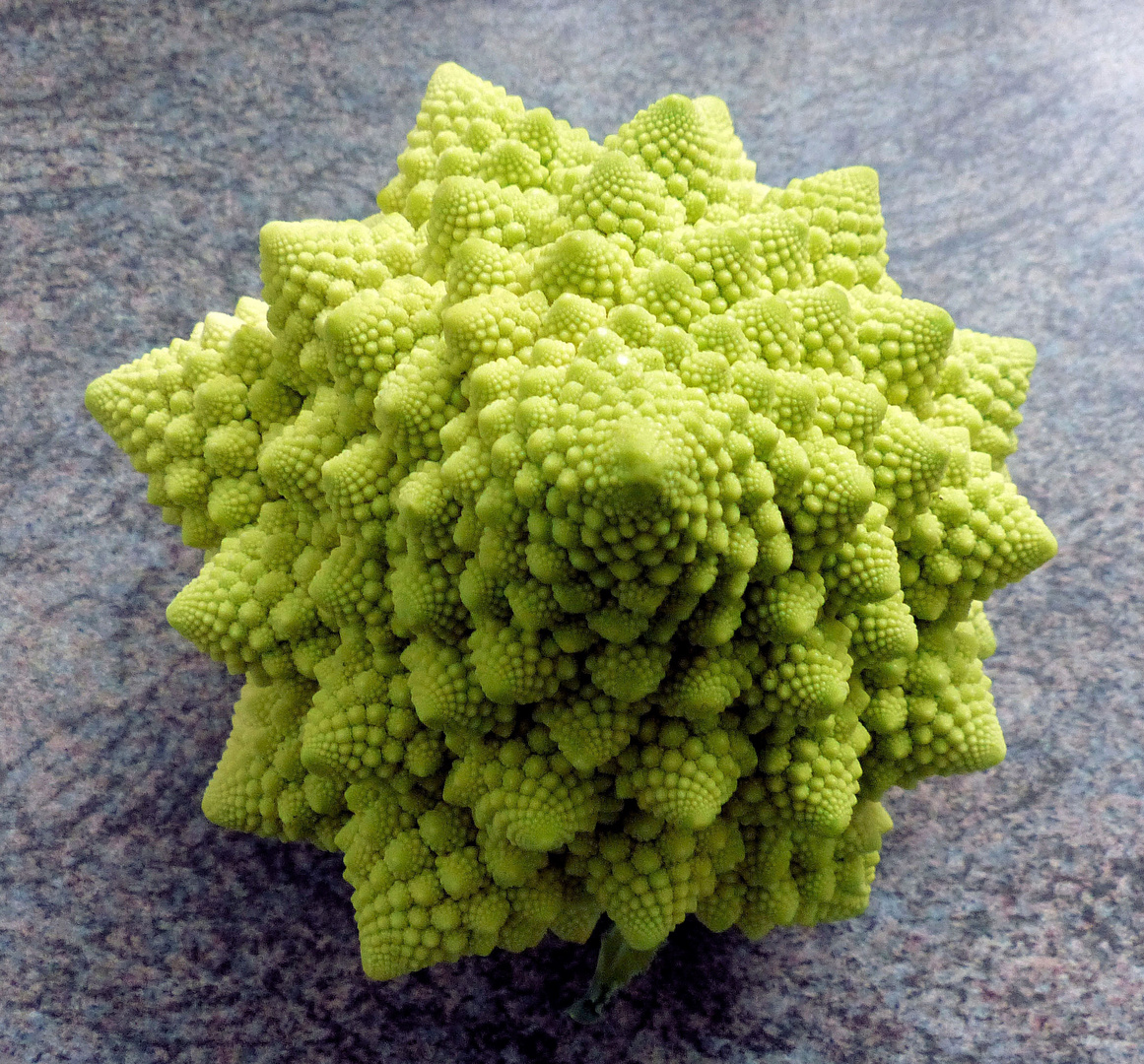 Romanesco Brassica oleracea Foto &amp; Bild | fotos, world, spezial Bilder ...