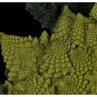 Romanesco broccoli