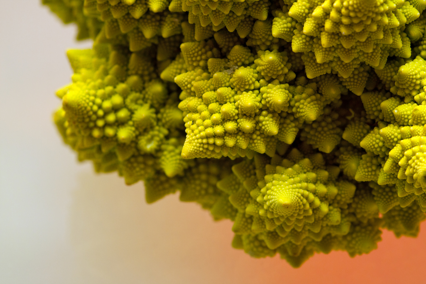 Romanesco