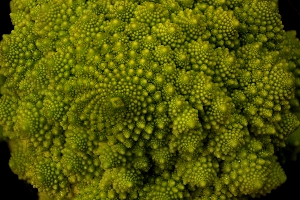 Romanesco