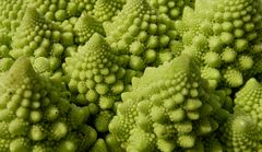 . romanesco .