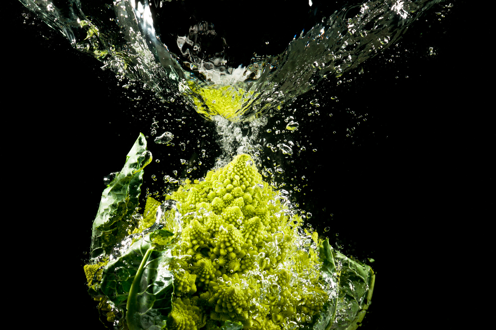 Romanesco im Wasser