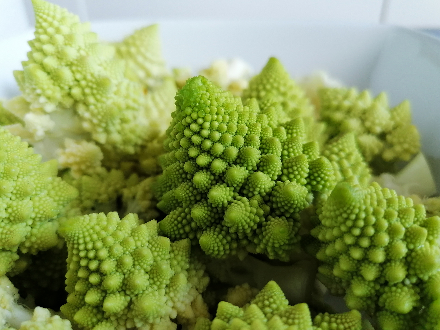 Romanesco so wunderschön und pur