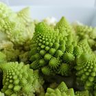 Romanesco so wunderschön und pur