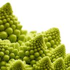 Romanescu - zu schade zum Essen!