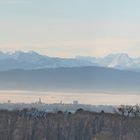 Romanhorn wurde zur Halbinsel