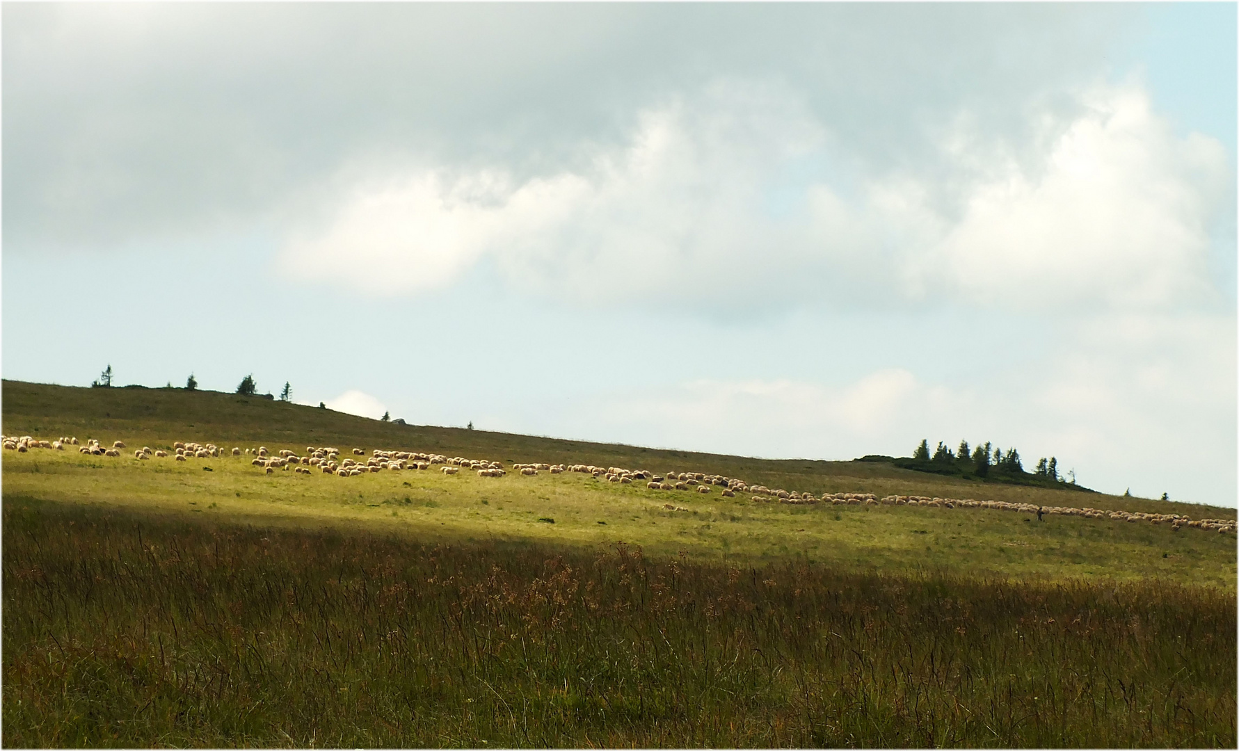 Romanian countryside