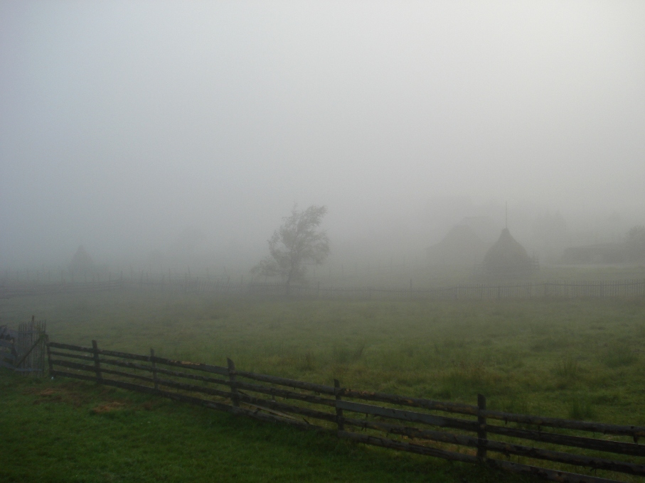 romanian morning light