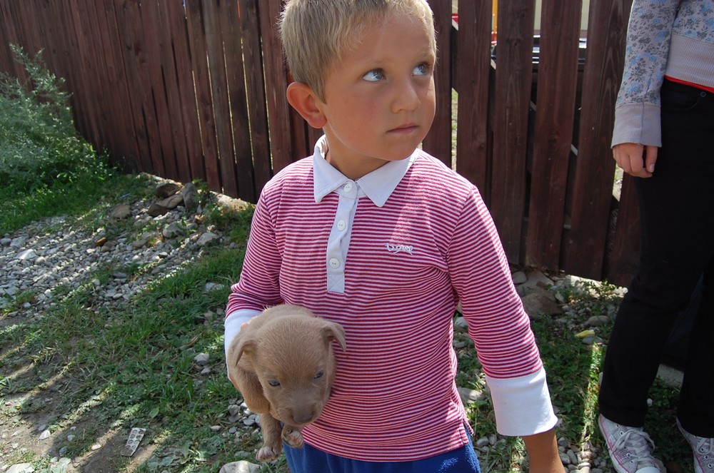 Romanian orphan