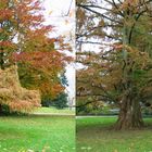 Romanshorn - Schweiz - 3D Kreuzblick