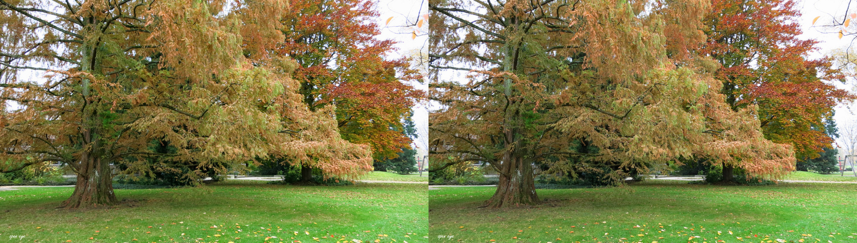 Romanshorn - Schweiz - 3D Kreuzblick