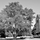 Romanshorn/CH - Alte Kirche
