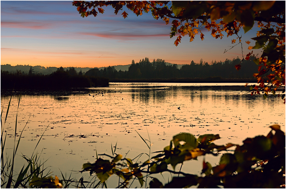 Romantic Autumn Scene