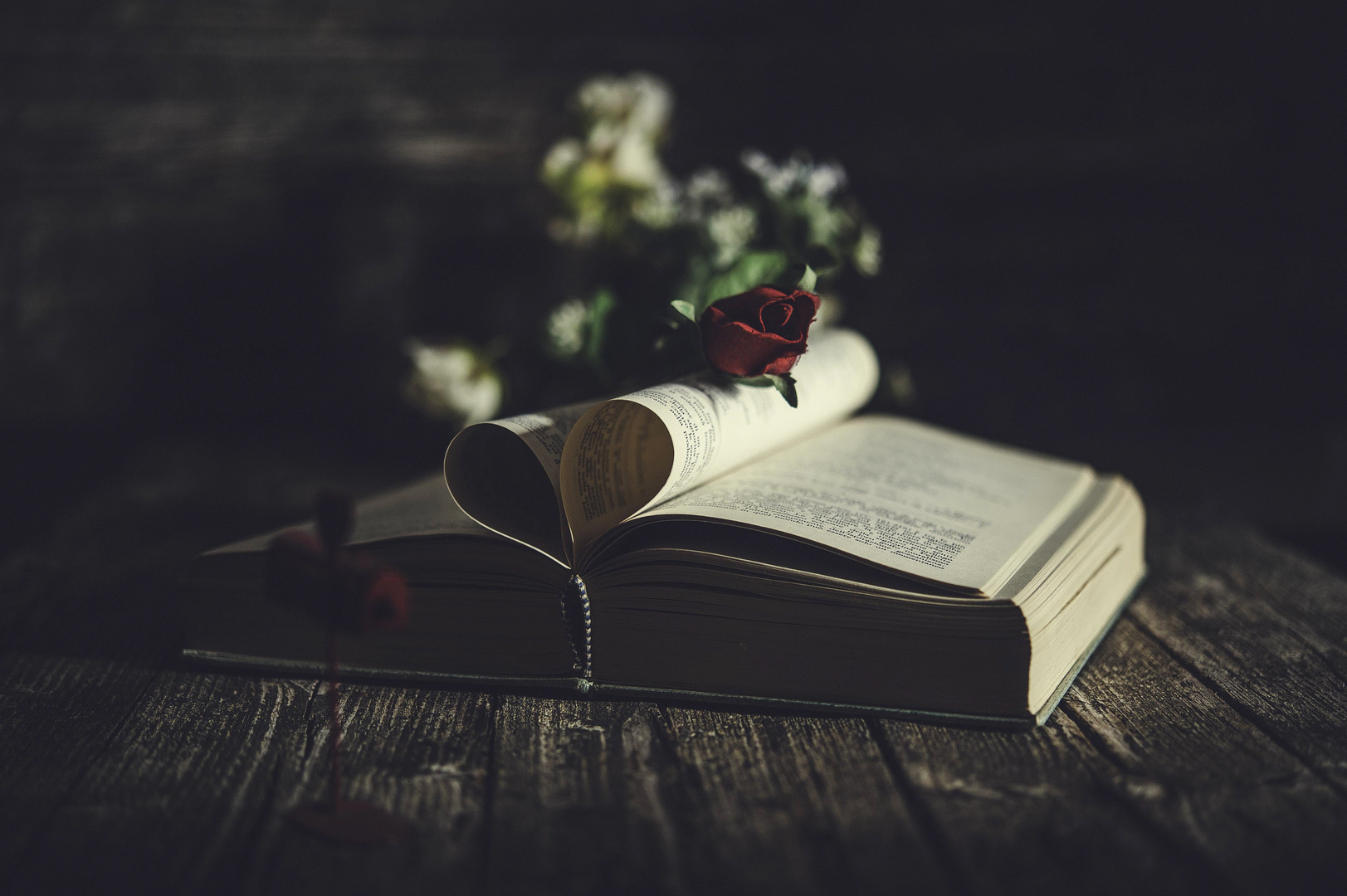 Romantic Book & Rose