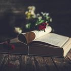 Romantic Book & Rose