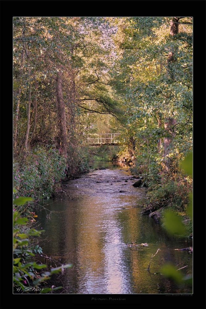 Romantic Bridge