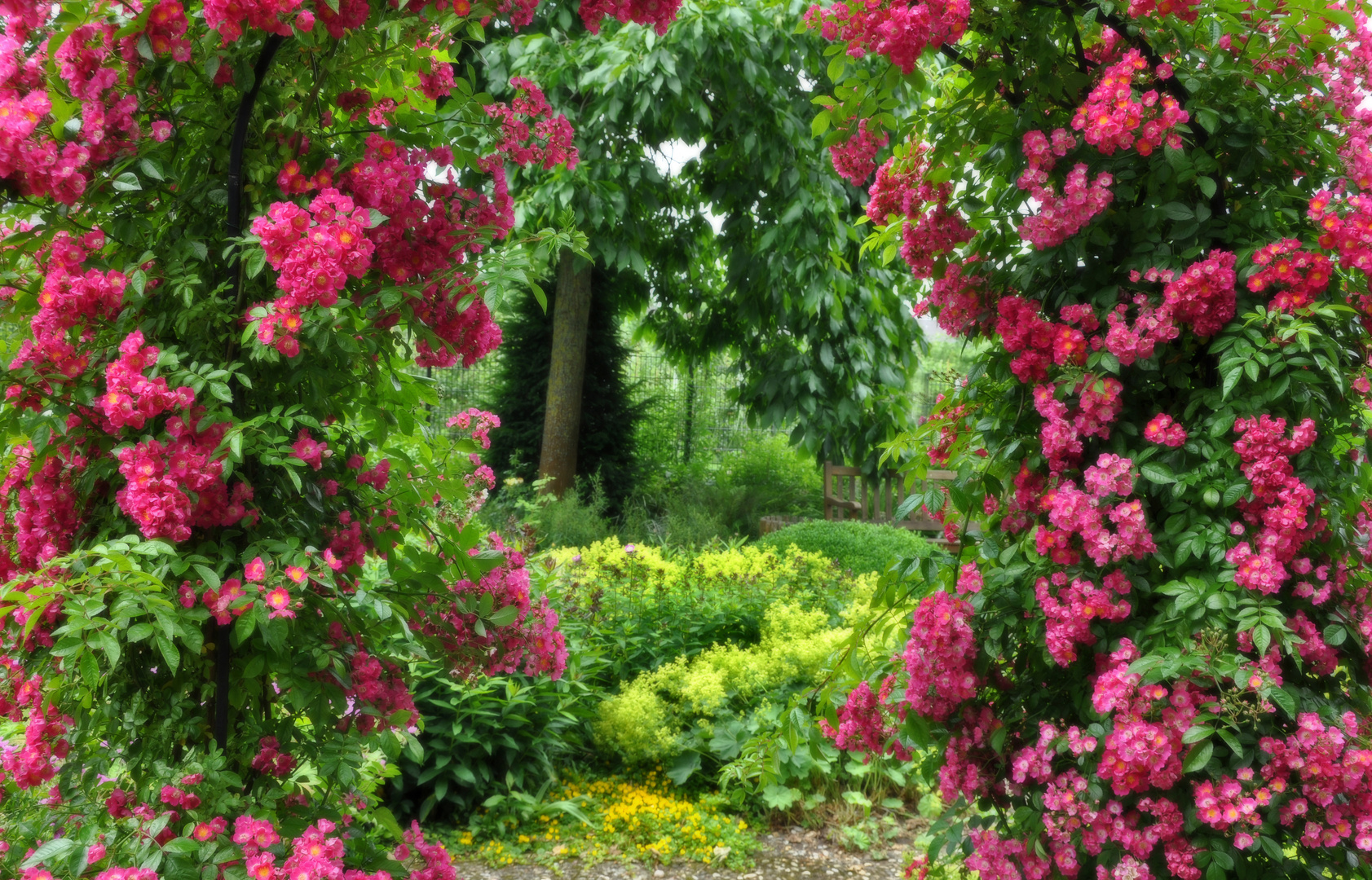 romantic garden Foto & Bild landschaft, garten