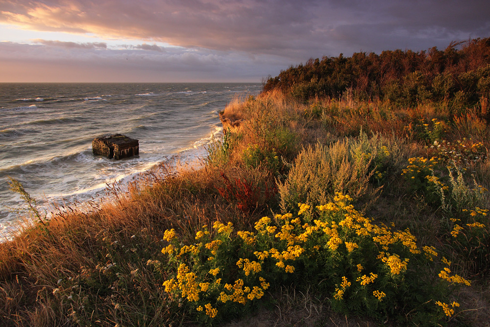 Romantic light