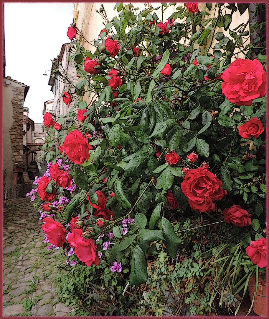 Romanticismo parte 8 : un angolo fiorito e profumato per un bacio rubato