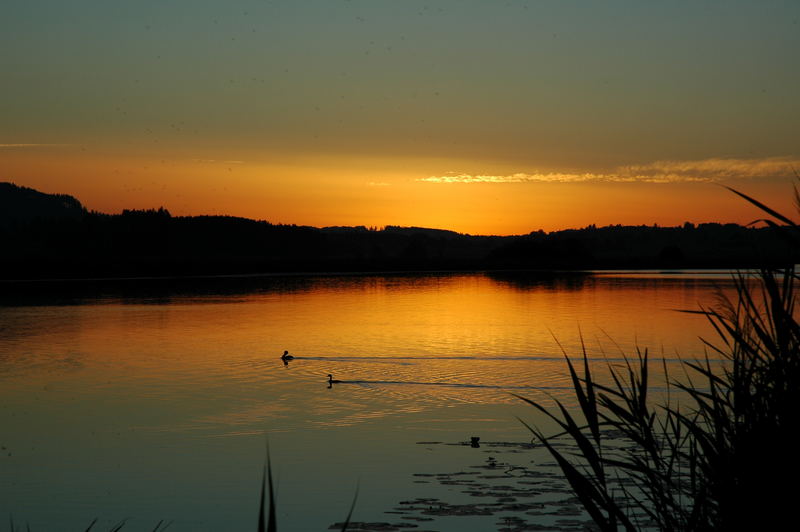 Romantik am Hopfensee