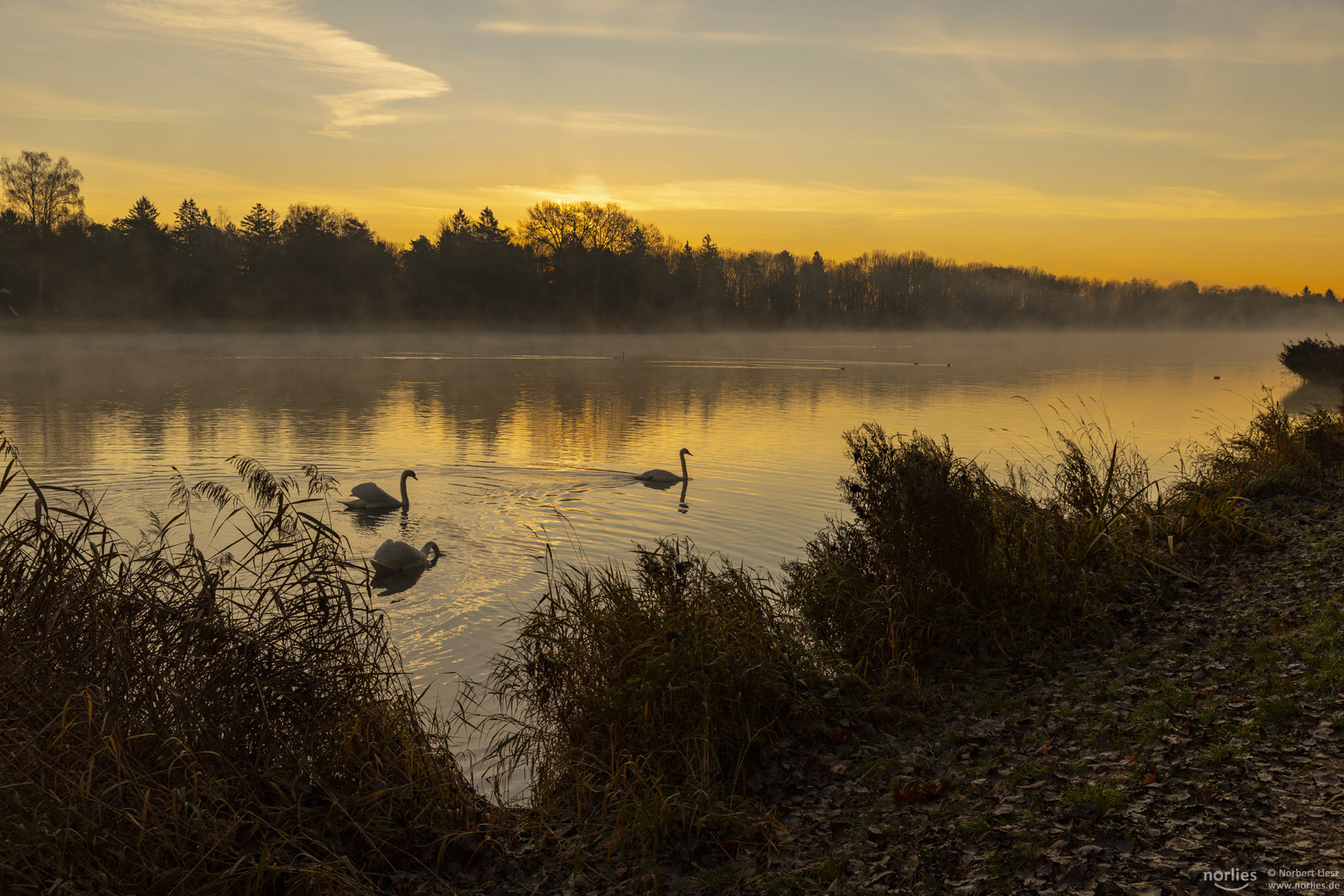 Romantik am Kuhsee