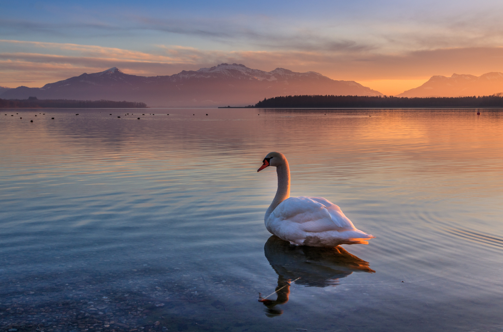 Romantik am See