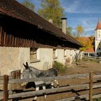 Romantik auf dem Land- Schwabenland - Aichach