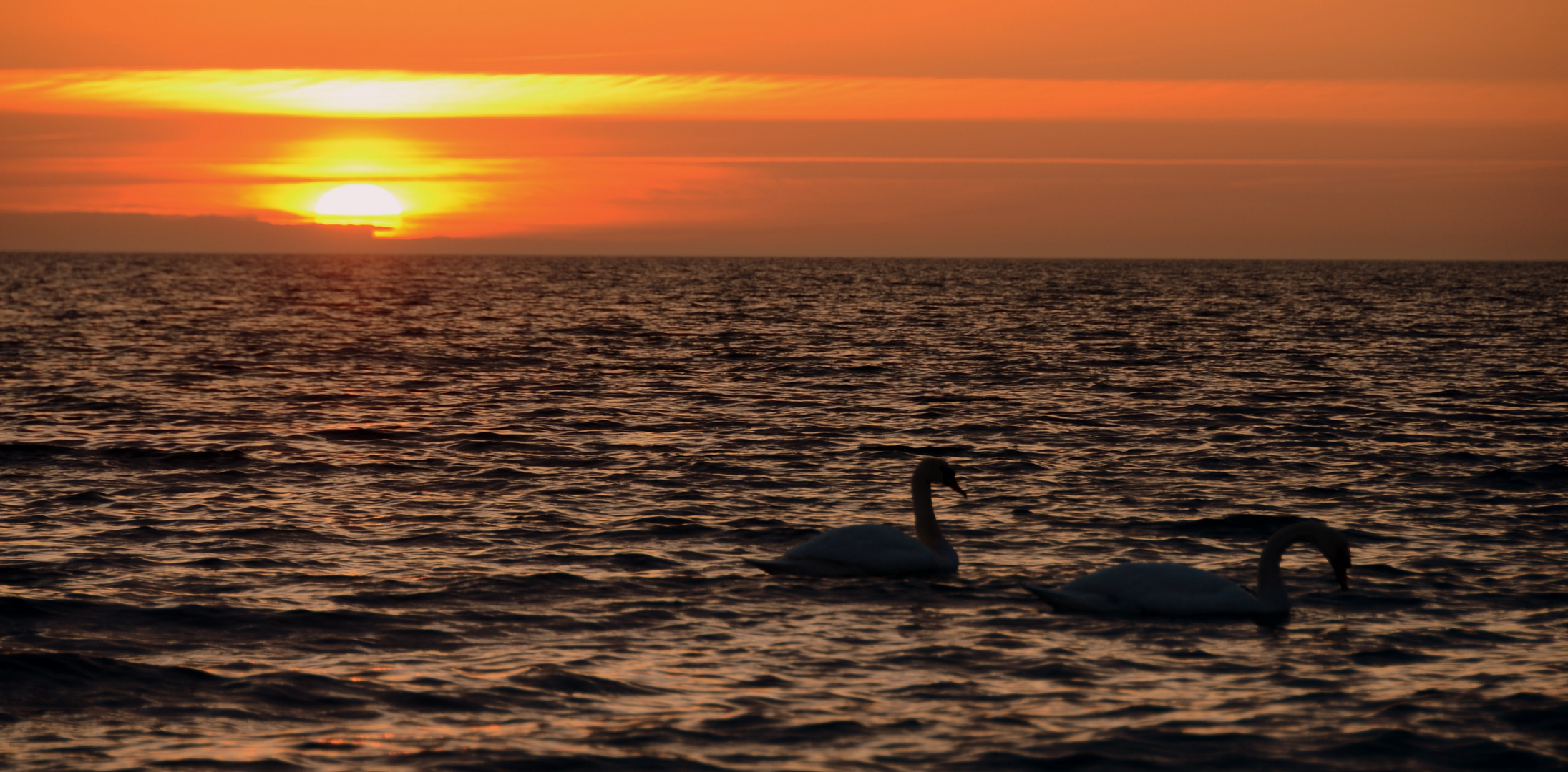 Romantik auf der Insel Hiddensee