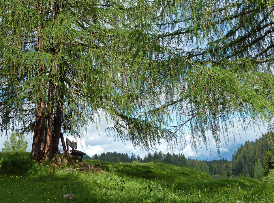 Romantik auf der Naggler-Alm