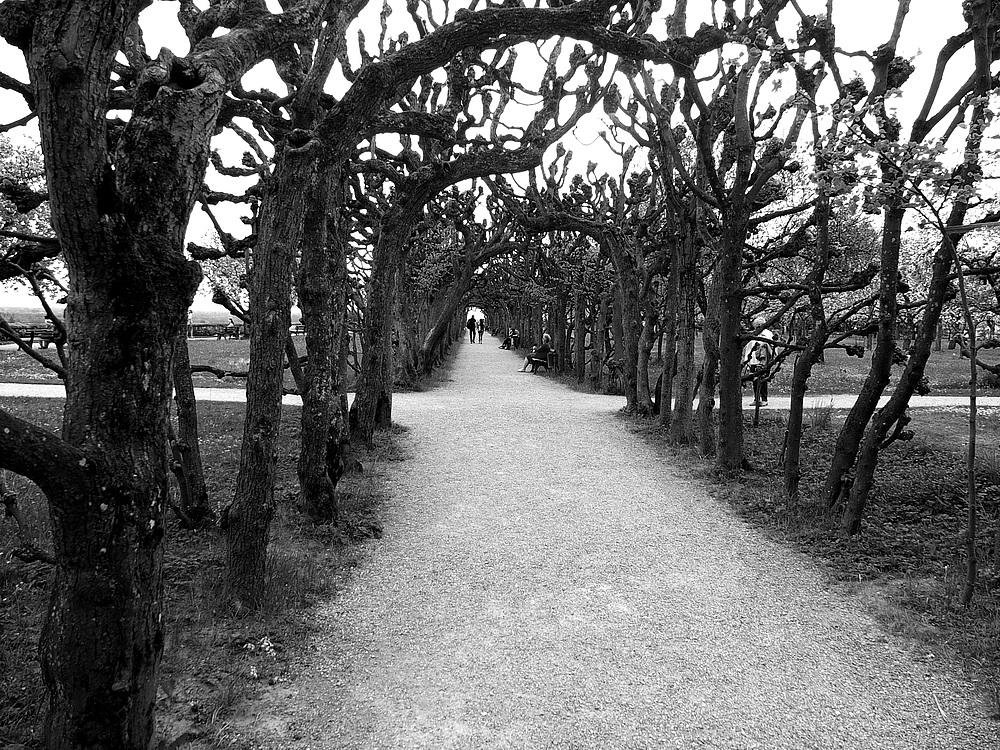 Romantik der Jahreszeit im Schlosspark Dachau