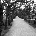 Romantik der Jahreszeit im Schlosspark Dachau