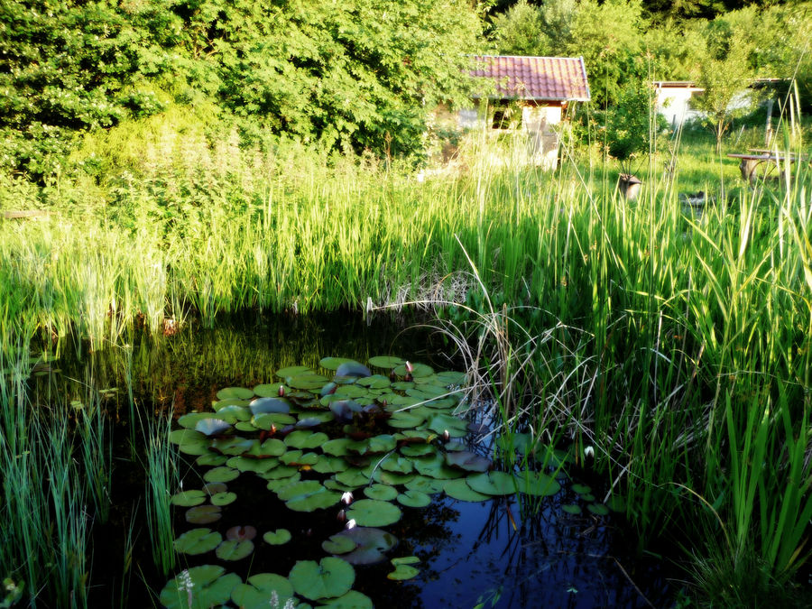 Romantik im Bergischen Land