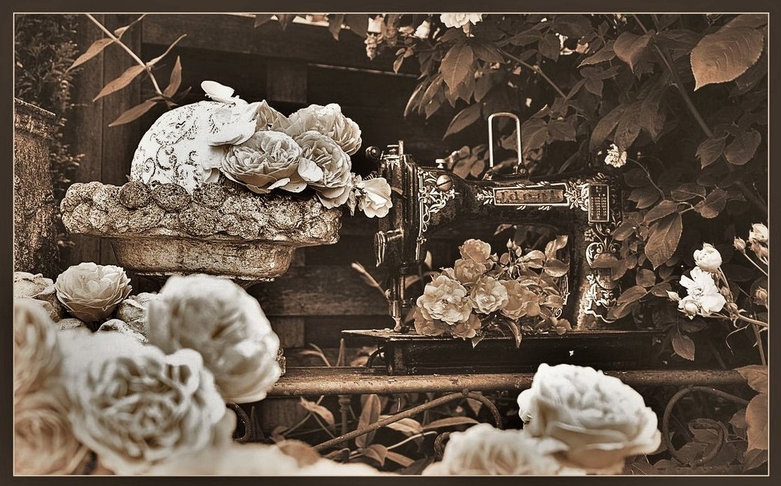 Romantik im Garten Foto & Bild sommer, outdoor, available light