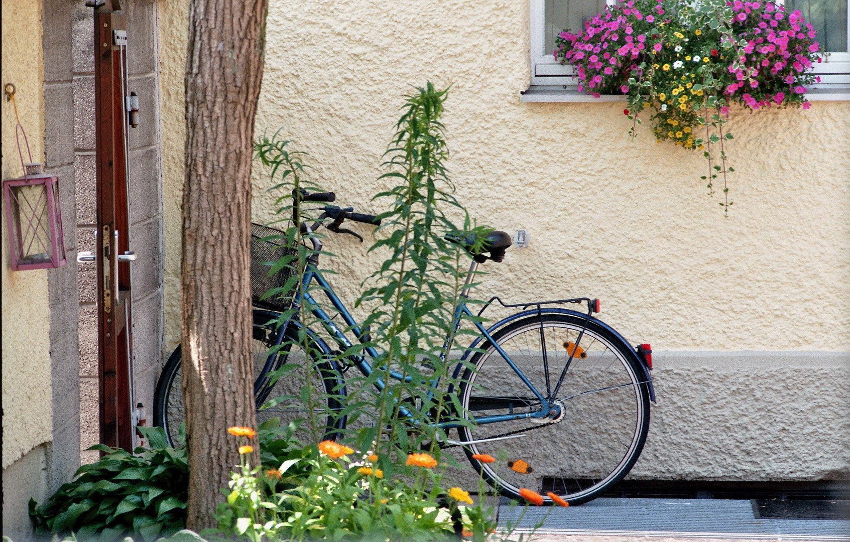 Romantik im Hinterhof