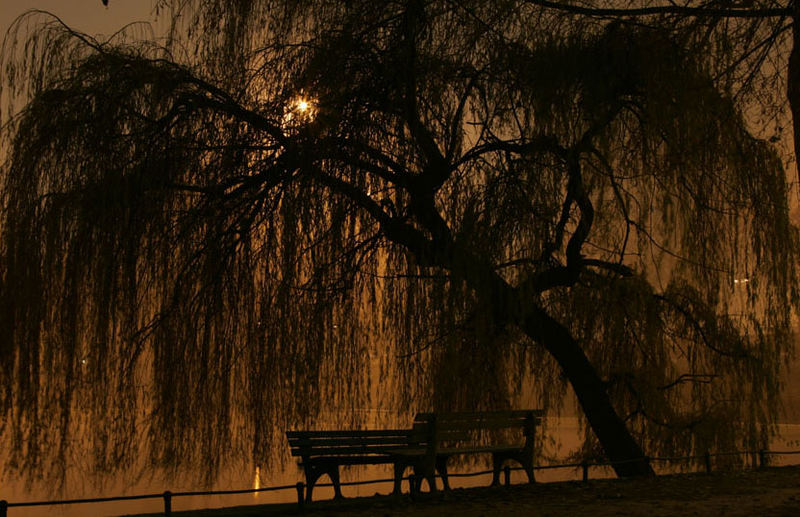 Romantik im Hofgarten.