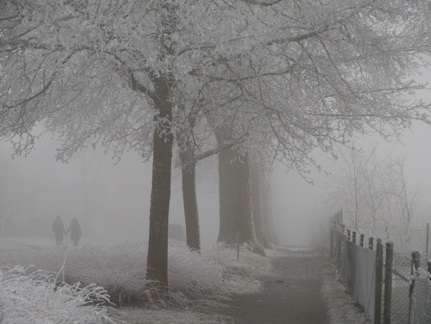 Romantik im Nebel