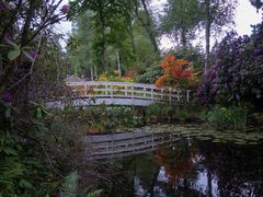 Romantik im Seleger Moor