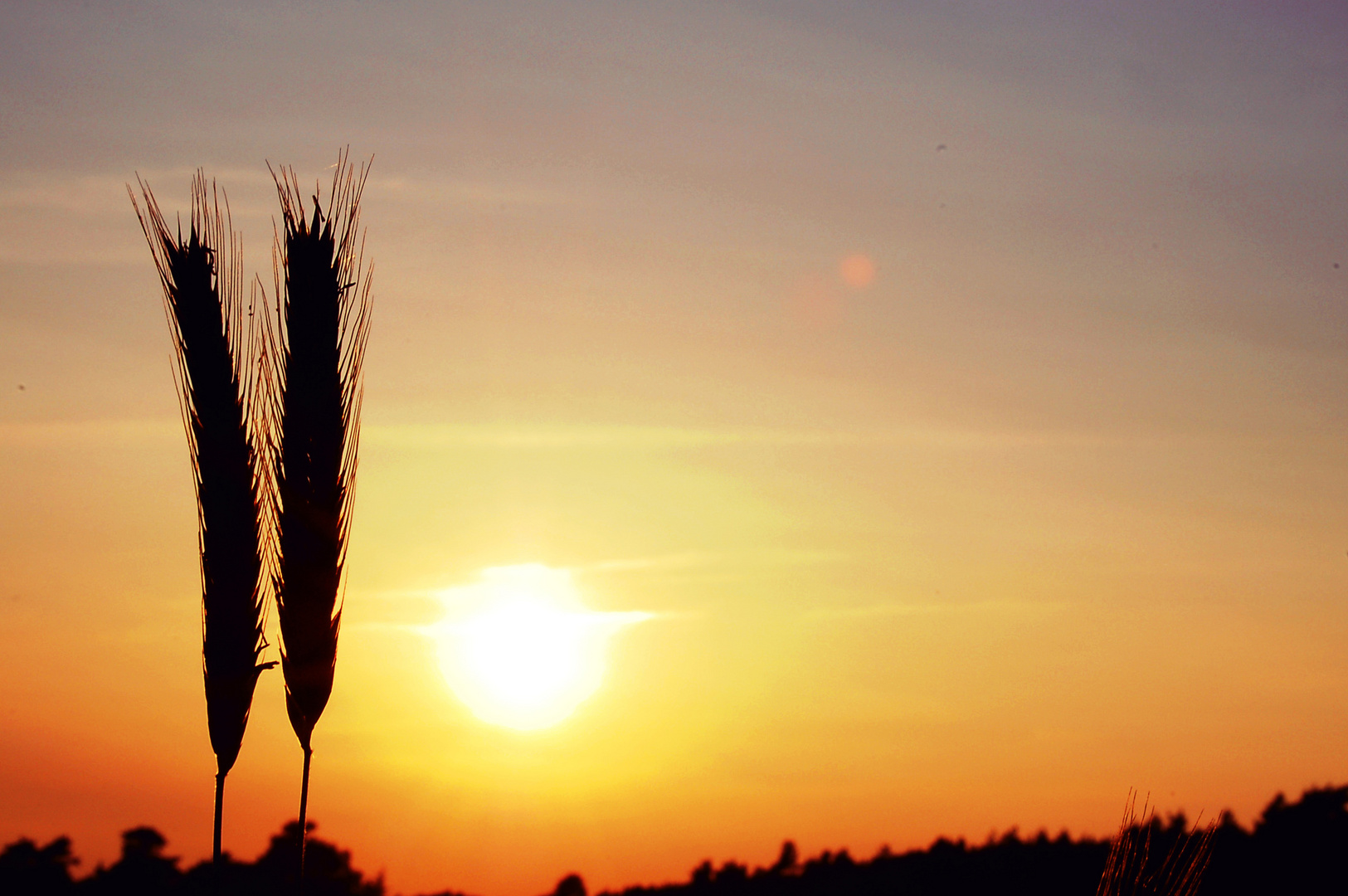 Romantik im Sonnenuntergang