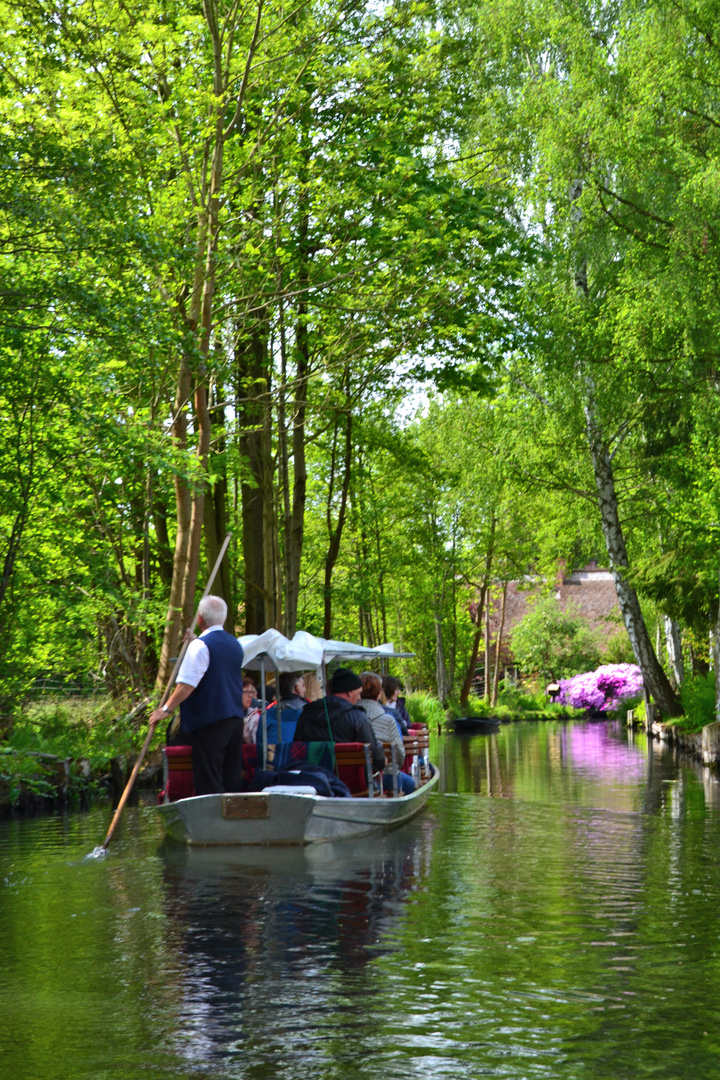 Romantik pur- eine Kahnfahrt im Spreewald