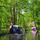 Romantik pur- eine Kahnfahrt im Spreewald