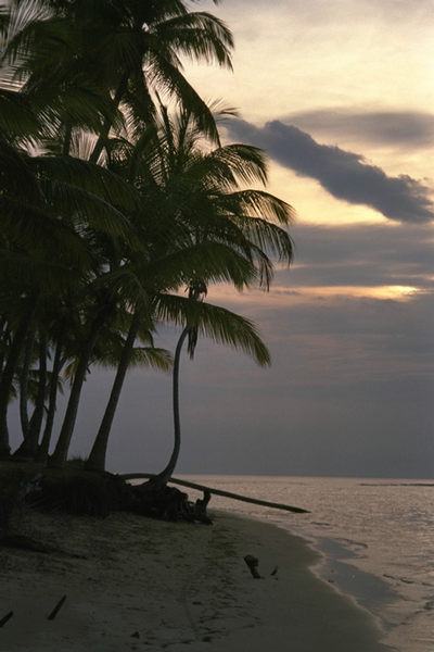 Romantik pur in Cayo Levantado